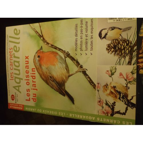 Les Carnets De L Aquarelle 21
