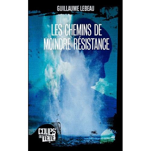 Les Chemins De Moindre Rsistance   de Guillaume Lebeau  Format Beau livre 