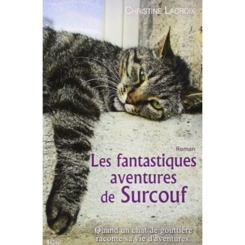 Les Fantastiques Aventures De Surcouf    Format Grand Format 