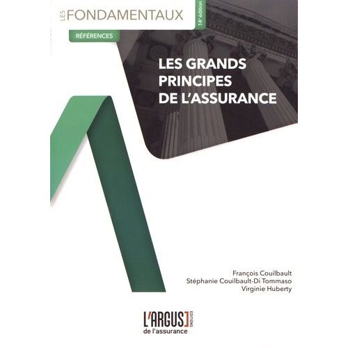 Les Grands Principes De L'assurance    Format Grand Format 