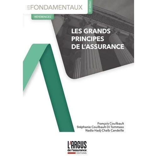 Les Grands Principes De L'assurance    Format Grand Format 