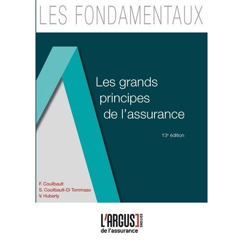 Les Grands Principes De L'assurance    Format Grand Format 