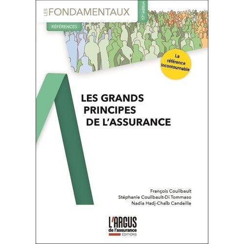 Les Grands Principes De L'assurance    Format Grand Format 