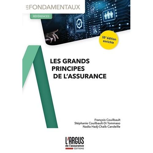 Les Grands Principes De L'assurance    Format Grand Format 
