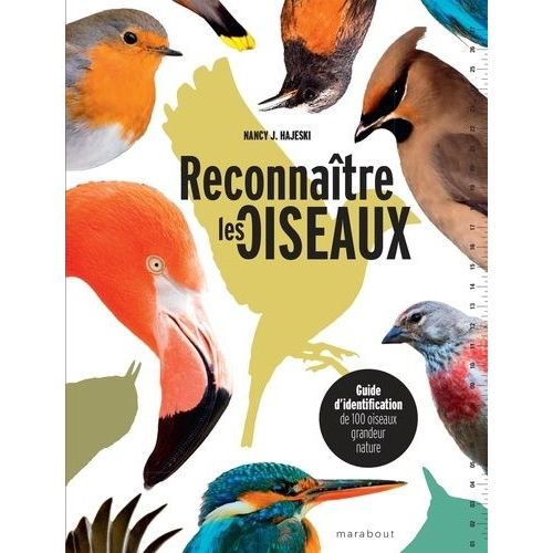 Reconnatre Les Oiseaux - Guide D'identification De 100 Oiseaux Grandeur Nature    Format Beau livre 