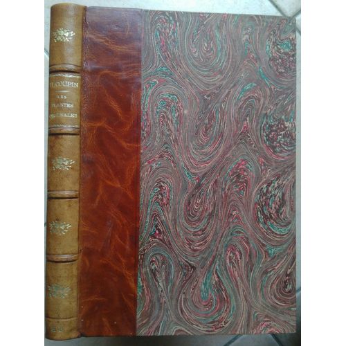 Les Plantes Originales   de COUPIN (H)  Format Beau livre 