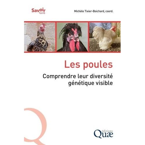 Les Poules - Comprendre Leur Diversit Gntique Visible    Format Grand Format 