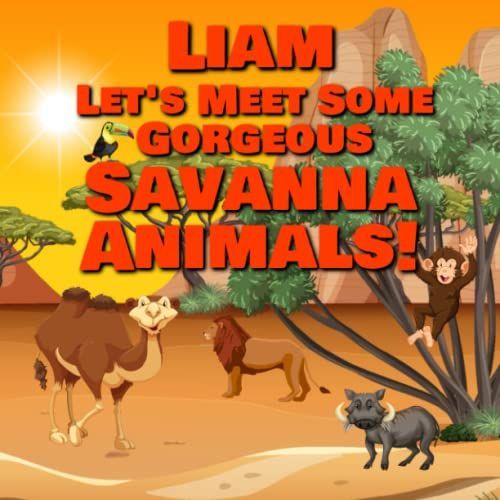 Liam Let's Meet Some Gorgeous Savanna Animals!: Personalized Baby Book With Your Child's Name In The Story - Safari Animals For Toddlers   de Publishing, Chilkibo  Format Broch 