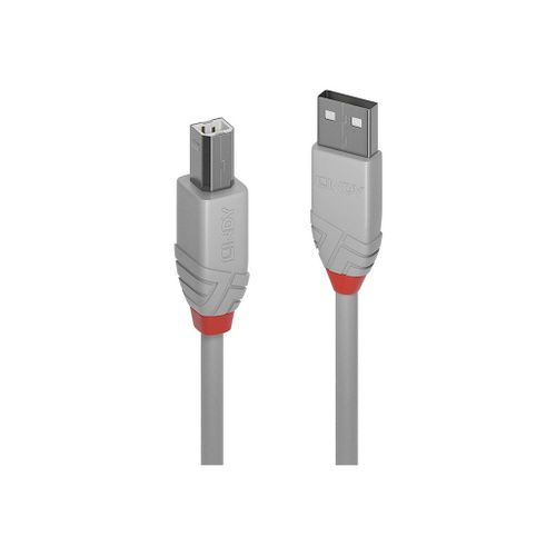Lindy Anthra Line - Cble USB