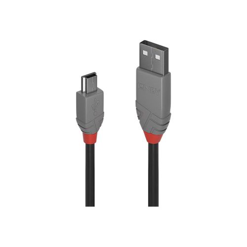 Lindy Anthra Line - Cble USB