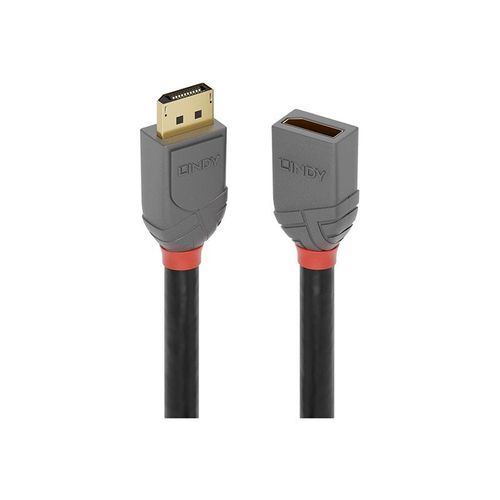 Lindy Anthra Line - Rallonge de cble DisplayPort