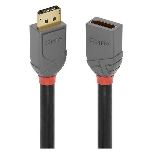 Lindy Anthra Line - Rallonge de cble DisplayPort
