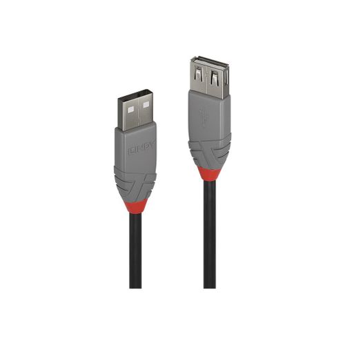 Lindy Anthra Line - Rallonge de cble USB