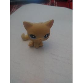 Littlest Petshop Chat De Gouttiere Aux Yeux Bleus Lps Pet Shop Collection Jeu Jouet Collector Hasbro Rakuten