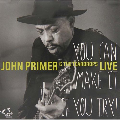 Live-You Can Make It If You Try - John Primer
