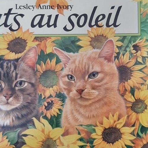 Livre Chats Au Soleil De Lesley Anne Ivory   de Lesley Anne Ivory  Format Album 
