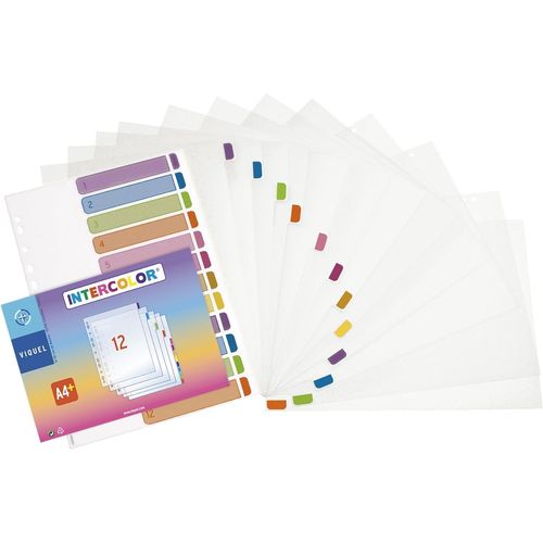 Lot De 12 Intercalaires En Plastique Intercolor Avec Onglets D'identification De Couleur Et Index Pour Un Classement Optimal - Format A4 Maxi (24,5x30,5cm)