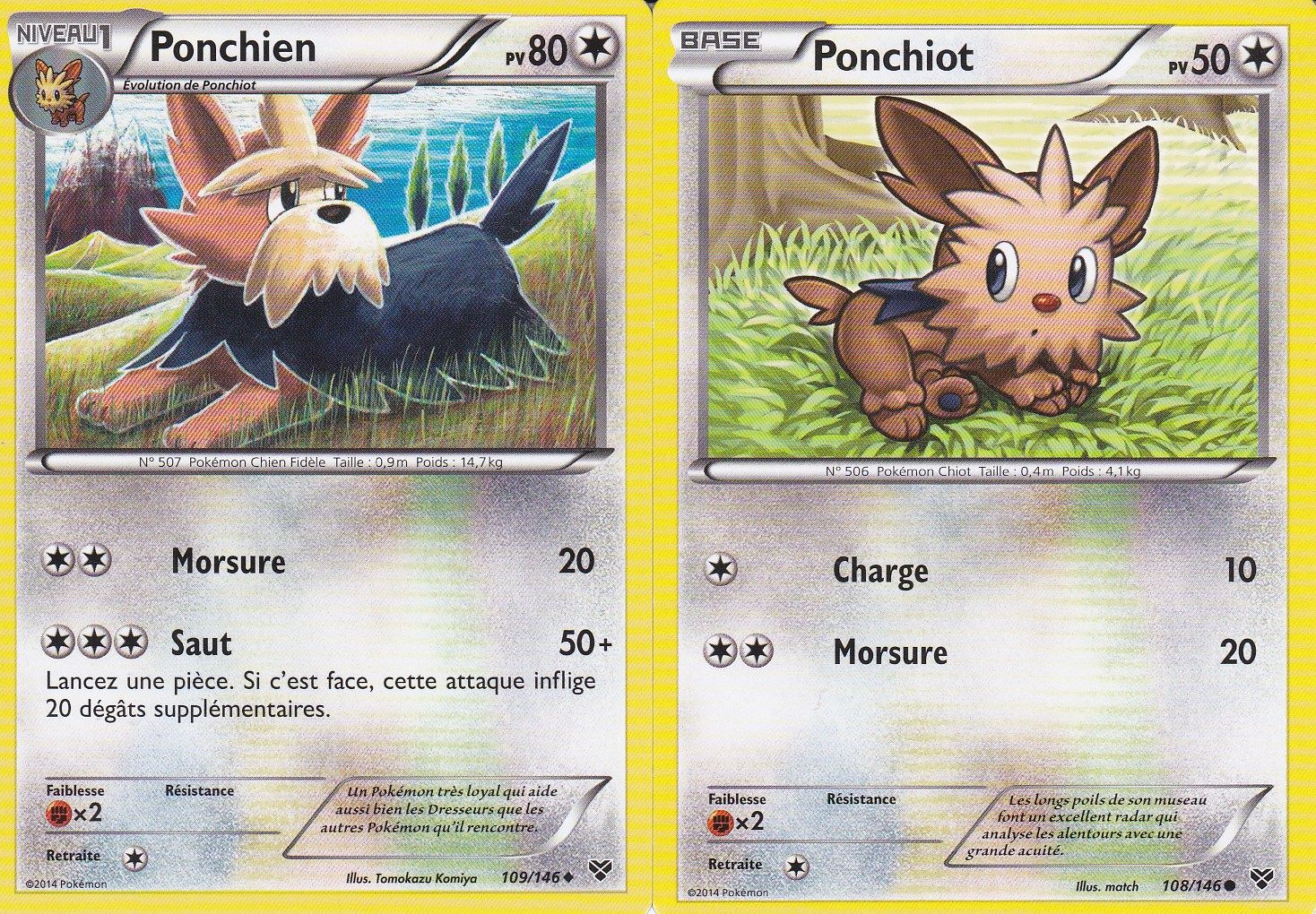 Lot De 2 Cartes Pokemon Ponchiot 108 146 Ponchien 109 146 Edition X Et Y Rakuten