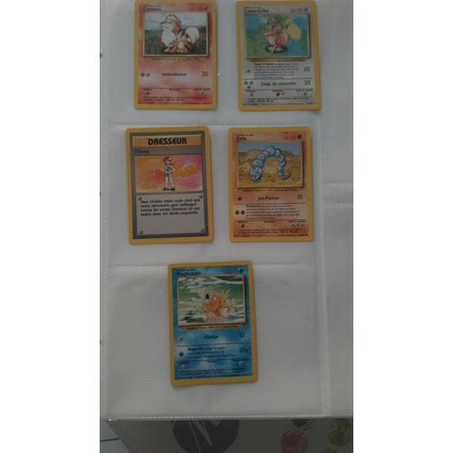 LOT DE 5 CARTES POKEMON PREMIERE GENERATION FILLETTE, CANINOS