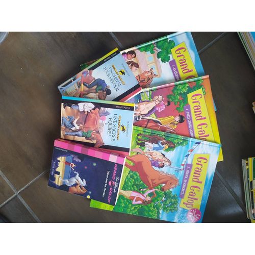 Lot De Livres Et Bds Sur Les Chevaux
