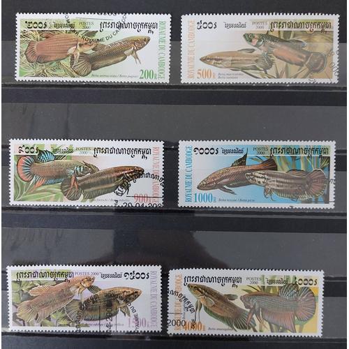 Lot Timbres Cambodge Poissons 2000 Srie Complte