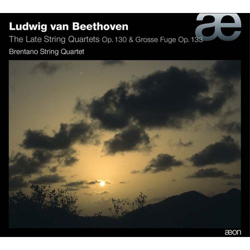 Ludwig Van Beethoven : The Late String Quartet - Brentano String Quartet