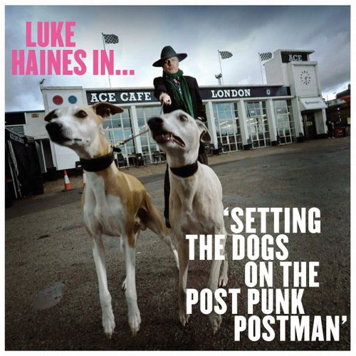 Luke Haines In Setting The Dogs On The Post Punk Postman - Cd Album - Luke Haines