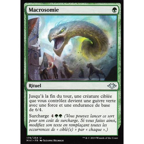 Macrosomie - Mtg