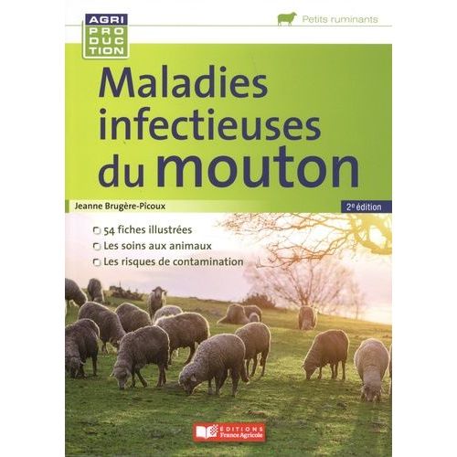 Maladies Infectieuses Du Mouton    Format Grand Format 
