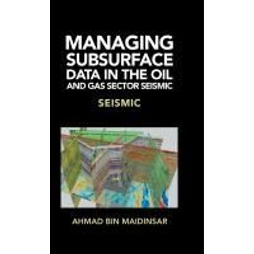 Managing Subsurface Data In The Oil And Gas Sector Seismic    Format Reli 