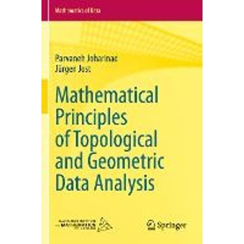 Mathematical Principles Of Topological And Geometric Data Analysis    Format Broch 