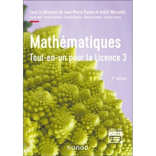 Mathmatiques - Tout-En-Un Pour La Licence 3    Format Grand Format 