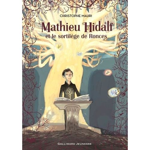 Mathieu Hidalf - Tome 3 - Mathieu Hidalf Et Le Sortilge De Ronces    Format Broch 