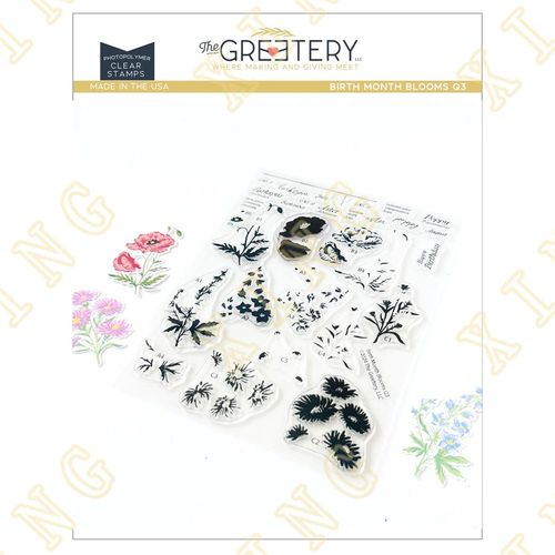 Matrices De Dcoupe En Mtal Et Timbres,Fleurs,Carte De Scrapbooking,Cailloux,Cartes En Papier,Timbre D'album Fait  La Main,Joyeux Anniversaire,Mois De Naissance,Bricolage - Type Z9146-Stamps