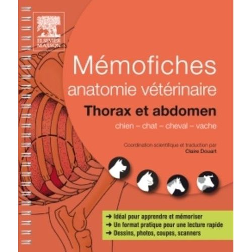 Anatomie Vtrinaire - Thorax Et Abdomen   de Douart Claire  Format Spiral 
