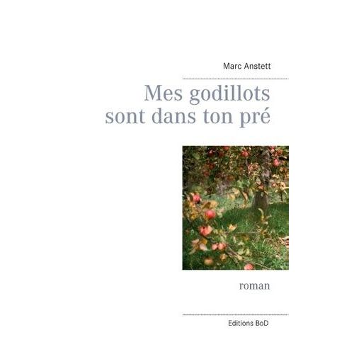 Mes Godillots Sont Dans Ton Pr   de Anstett Marc  Format Beau livre 