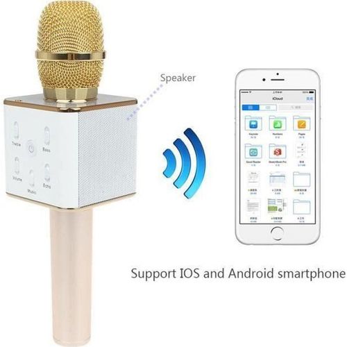 Micro Karaok sans fil Q7