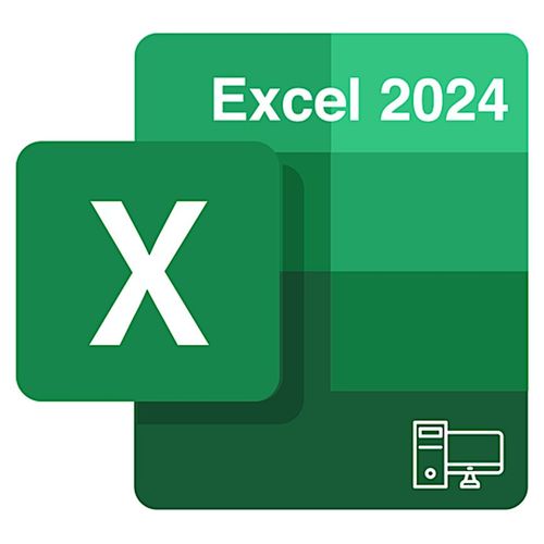 Microsoft Excel 2024 - Licence 1 An - 5 Posts