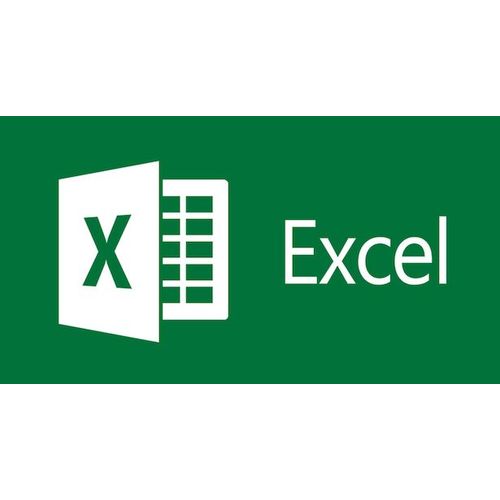 Microsoft Excel 2025 - Licence 1 An - Pc/Mac
