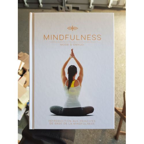 Mindfulness Mode D'Emploi   de R&B  Format Broch 