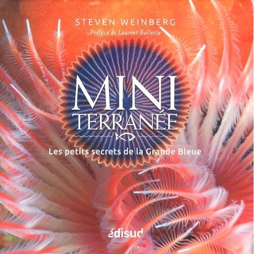Miniterrane - Les Petits Secrets De La Grande Bleue   de steven weinberg  Format Beau livre 
