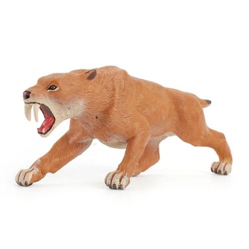 Modle de tigre  dents de sabre-Simulation ducative d'animaux marins par