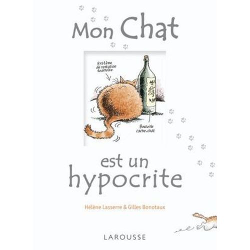 Mon Chat Est Un Hypocrite  