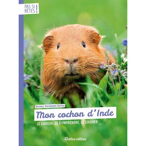 Mon Cochon D'inde - Le Chosir, Le Comprendre, Le Soigner    Format Beau livre 