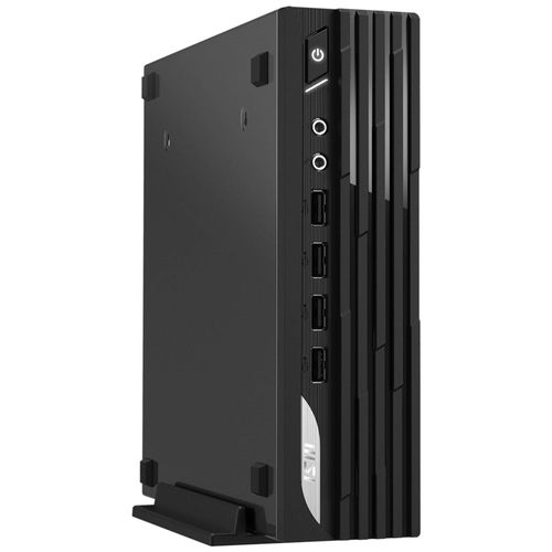 MSI PRO DP21 13M 491EU