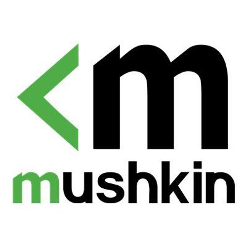 Mushkin Essentials - DDR4