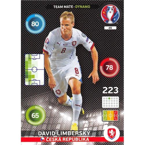 N 49 David Limbersk ČEsk Republika Team Mate / Dynamo Euro 2016