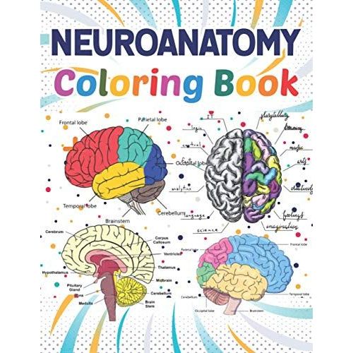 Neuroanatomy Coloring Book: Collection of Simple Illustrations of Human ...