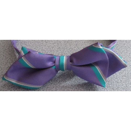 Noeud Papillon Plac Au Bout D'un Ruban Fermant Par Scratch  Placer Autour Du Cou - Jolies Couleurs Mauve Et Vert - Rglable Entre 34 Et 38cm - 100%Polyester