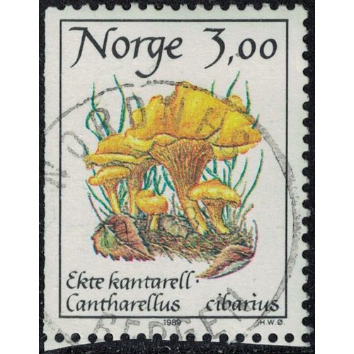 Norvge 1989 Oblitr Used Champignon Cantharellus Cibarius Girolle Y&t No 966 Su